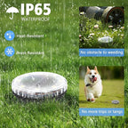 8-Pack Cool White In-Ground Solar Lights, Flat LED Garden