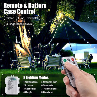 Christmas Fairy Lights, 60 LED Battery Twinkle Lights