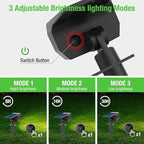 Solar Motion Sensor Landscape Spotlights 6-Pack, LED