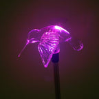 Solar Pathway Lights, Waterproof LED Walkway Lights