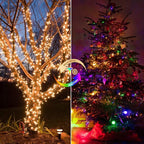 Christmas Backyard String Lights 4-Pack, 50 LED Waterproof