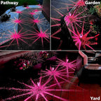 10-Pack Solar Path Lights, Outdoor Garden LED