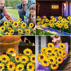 Solar Pathway Lights 6-Pack, Yard LED