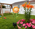 Solar Pathway Lights, Yard LED