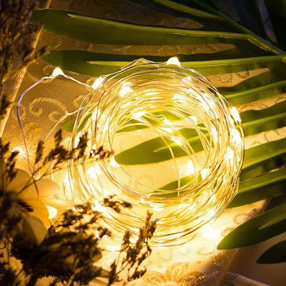 Christmas Fairy Lights 5-Pack, 20 LED Battery Twinkle Lights