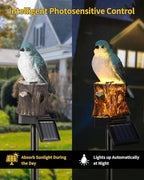 Solar Path Lights, Outdoor Driveway LED