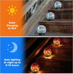 2-Pack Solar Landscape Lights for Yard