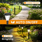 Warm White Solar Pathway Lights 10-Pack, Driveway LED