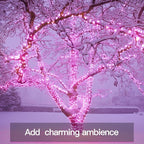 Christmas Fairy Lights, 33ft 100 LED Battery Twinkle Lights