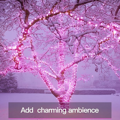 Christmas Fairy Lights, 33ft 100 LED Battery Twinkle Lights