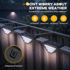 Solar Yard Lights, Cool White LED