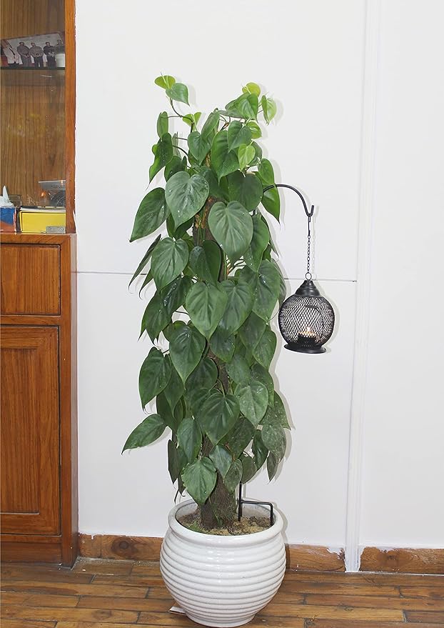 Heavy-Duty Shepherd's Hooks, 33" Garden