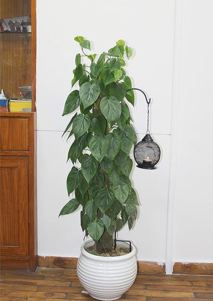 Heavy-Duty Shepherd's Hooks, 33" Garden