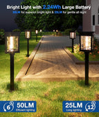 Cool White Solar Pathway Lights 6-Pack, Garden LED