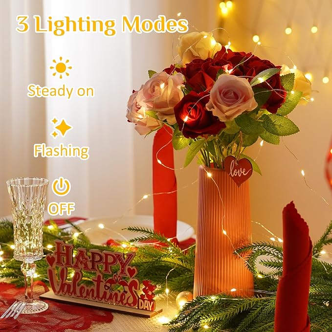 16ft Warm White String Lights for Yard, Waterproof LED