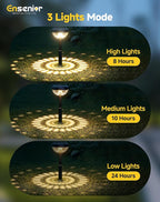 Warm White Solar Path Lights, Outdoor Garden LED