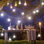 Solar Landscape Lights for Walkway