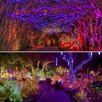 Christmas String Lights, 66ft 200 LED Waterproof Twinkle Lights