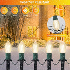 C9 Pathway Lights, 45ft LED Stakes