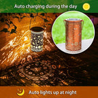 Solar Bee Lanterns, Outdoor Hanging LED Decor