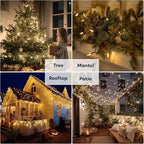 Battery Christmas Lights, 31.4ft Warm White Twinkle