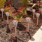 8-Pack Solar Pathway Lights, Waterproof LED Yard Lights
