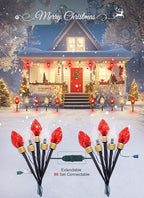 C9 Christmas Pathway Lights, 8.5ft 5 LED
