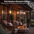 Solar Garden Lanterns 2-Pack, Outdoor Hanging LED Decor