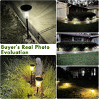 2-Pack Warm White Solar Path Lights, Outdoor Driveway LED