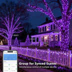 Halloween Backyard String Lights, 98ft 300 LED Waterproof