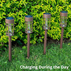 Solar Pathway Lights 8-Pack, Garden LED