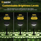 Solar Garden Path Lights, IP65 Waterproof