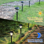 12-Pack Flat Solar Walkway Lights, Waterproof LED