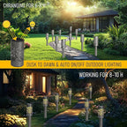 Warm White Solar Pathway Lights 12-Pack, Driveway LED