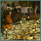 Warm White Solar Pathway Lights 8-Pack, Driveway LED