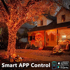 Halloween Backyard String Lights, 98ft 300 LED Waterproof