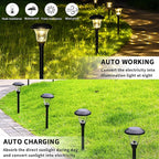 8-Pack Solar Landscape Lights for Driveway