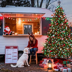 Christmas LED String Lights, Waterproof Timer Lights