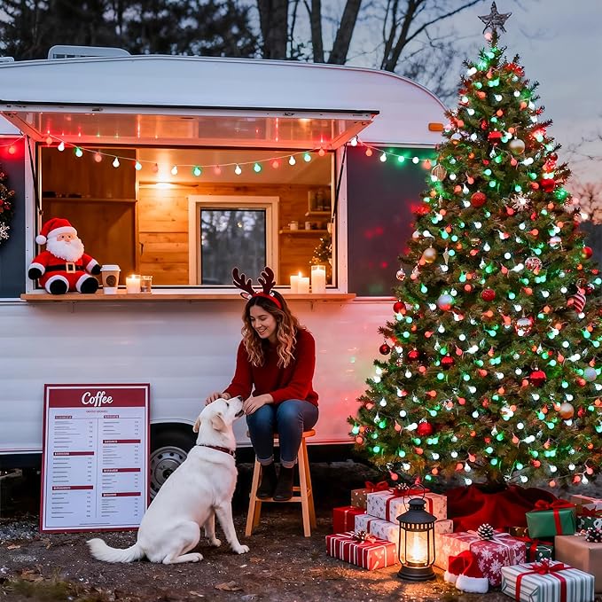Christmas LED String Lights, Waterproof Timer Lights