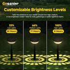 Solar Path Lights, Outdoor Driveway LED