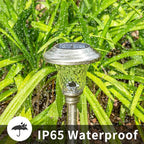 8-Pack Warm White Solar Path Lights, Outdoor Garden LED