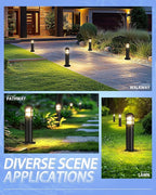 Warm White Solar Pathway Lights 6-Pack, Driveway LED
