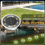 24-Pack Cold White Flat Solar Landscape Lights, Waterproof LED