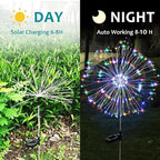Solar Yard Path Lights 2-Pack, Waterproof