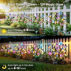 Solar Yard Path Lights 2-Pack, IP65 Waterproof