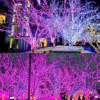 Christmas Fairy Lights, 5ft 300 LED Battery Twinkle Lights